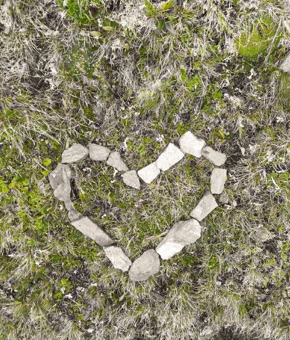 Allrounder/in für Sommer 2026 gesucht!