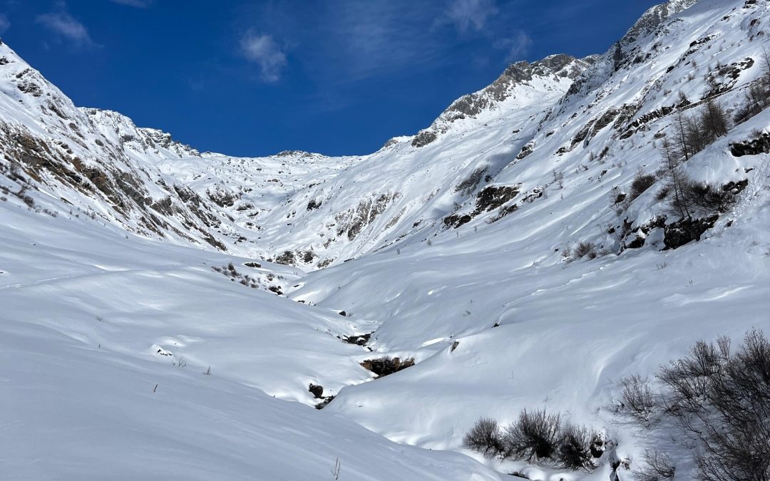 Timmeltal im Frühjahr 2026